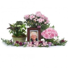 Lovely Lady Tribute (Deluxe)