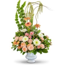 Divine Grace Tribute (Deluxe)