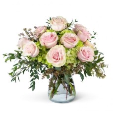 Dreamy Roses (Standard)