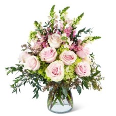 Dreamy Roses Supreme (Standard)
