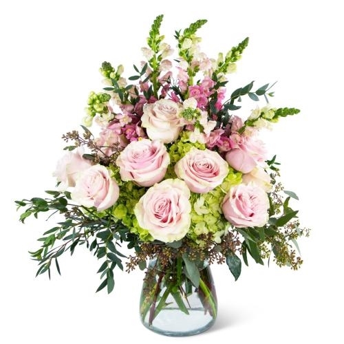 Dreamy Roses Supreme (Standard)