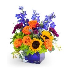 Season of Vibrance (Deluxe)