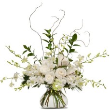 White Elegance (Deluxe)