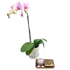 Chocolate and Flowers Deluxe