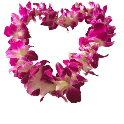 Fresh Orchid Lei (Maui Delivery Only)