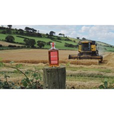Lochlea Harvest Edition (First Crop) - Single Malt Scotch Whisky