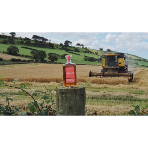 Lochlea Harvest Edition (First Crop) - Single Malt Scotch Whisky