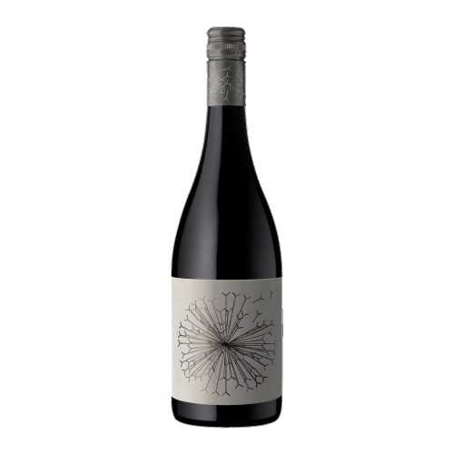 Dandelion Lions Tooth Shiraz Riesling