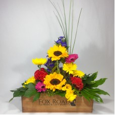 The Fox Box