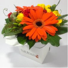 Petite Vibrant Box