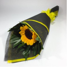 Single Sunflower