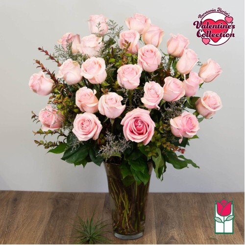 2 Dozen Pink Rose Bouquet (Standard)