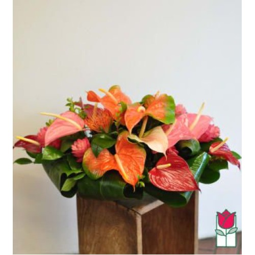 Beretania's Tropical Centerpiece (Standard)