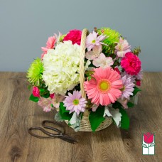Beretania's Mary Basket (Standard)