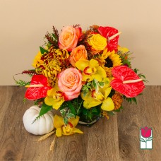 Beretania's Apricot Fall Bouquet (Standard)