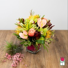 Beretania's Emerald Tropical Arrangement (Deluxe)