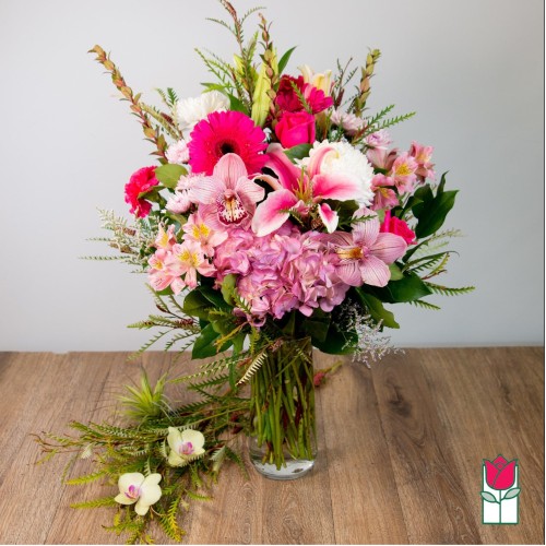 Beretania's Illumination Bouquet (Standard)