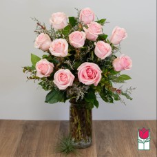 GiftbloomsExtra Long Stem Pink Rose Masterpiece (Standard)