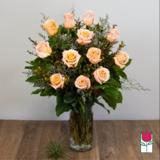 Extra Long Stem Peach Rose Masterpiece (Standard)