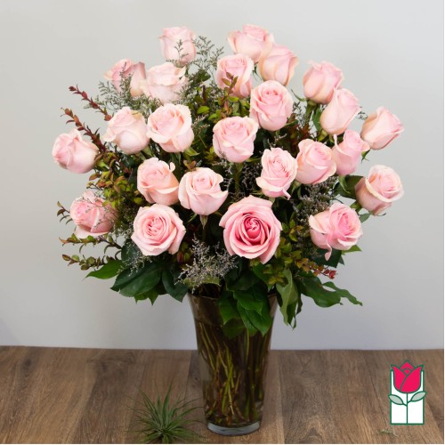2 Doz. Extra Long Stem Pink Rose Bouquet (Standard)