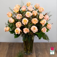 2 Doz. Extra Long Stem Peach Rose Bouquet (Standard)