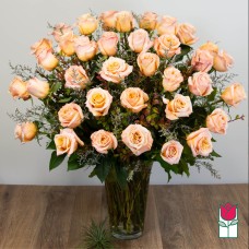 3 Doz. Extra Long Stem Peach Rose Bouquet (Standard)