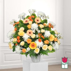 Beretania's Waikapu Sympathy Arrangement (Deluxe)