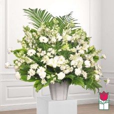 Beretania's Paia Sympathy Arrangement (Deluxe)