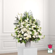 Beretania's Wailea Sympathy Arrangement (Deluxe)