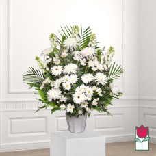Beretania's Wailuku Sympathy Arrangement (Deluxe)