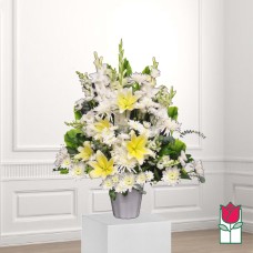Beretania's Honokawai Sympathy Arrangement (Deluxe)