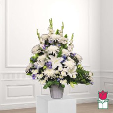 Beretania's Blue Moon Sympathy Arrangement (Deluxe)