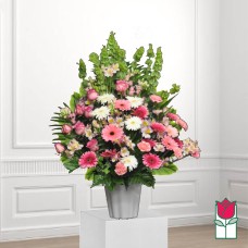 Beretania's Alaupapa Sympathy Arrangement (Deluxe)