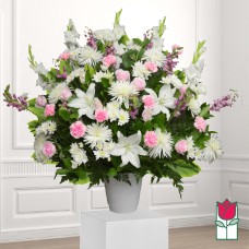 Beretania's Keahi Sympathy Arrangement (Deluxe)