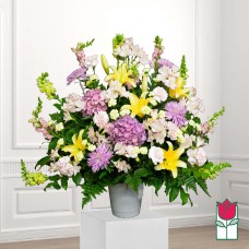 Beretania's Mana Sympathy Arrangement (Deluxe)