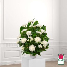 Beretania's Lokahi Sympathy Arrangement (Deluxe)