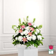 Beretania's Kau Sympathy Arrangement (Deluxe)