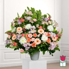 Beretania's Nohu Sympathy Arrangement (Deluxe)