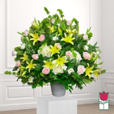 Beretania's Lapakahi Sympathy Arrangement (Deluxe)