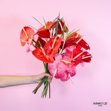 The Anthurium Bouquet (Seasonal Colors Vary) The Full (24 Stems)