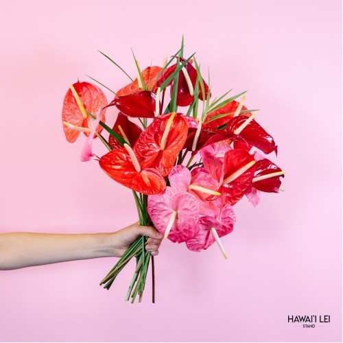 The Anthurium Bouquet (Seasonal Colors Vary) The Full (24 Stems)