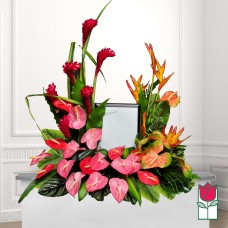 Beretania's Waiola River Urn Spray (Deluxe)