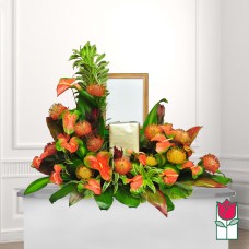 Beretania's Hamakua Urn Spray (Deluxe)