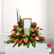 Beretania's Hokulani Urn Spray (Deluxe)