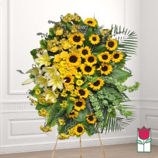 Beretania's Wilcox Wreath (Deluxe)