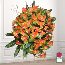 Beretania's Akaka Park Tropical Wreath (Deluxe)