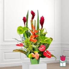 Beretania's Queen Tropical Arrangement (Standard)