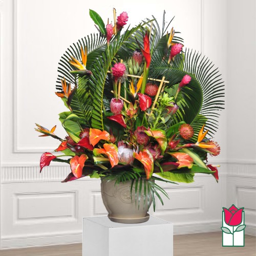 Beretania's Rainforest Tropical Arrangement (Standard)