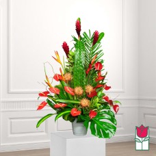 Beretania's Atherton Tropical Bouquet (Standard)
