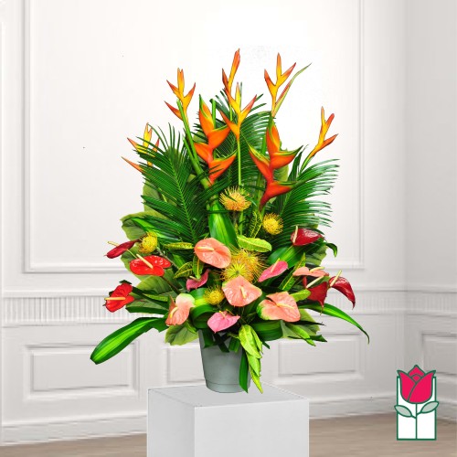 Beretania's Citron Tropical Bouquet (Standard)